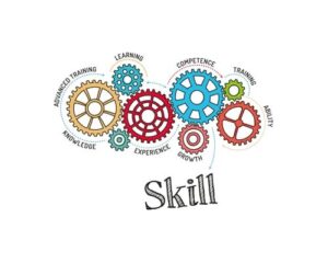 Online Earning Skills Which Are Important